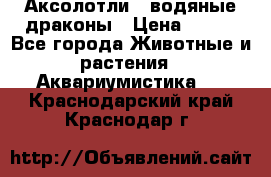 Аксолотли / водяные драконы › Цена ­ 500 - Все города Животные и растения » Аквариумистика   . Краснодарский край,Краснодар г.